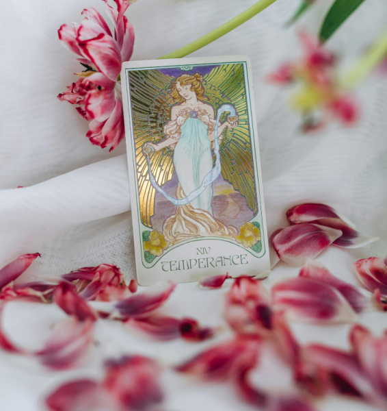 untitled design 2026 02 22t120018.313